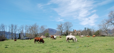 Vall d'en Bas